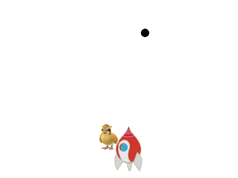 shoot the birds