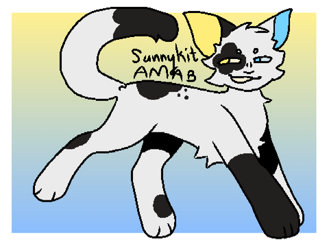 ray of sunshine . sunnykit ref sheet