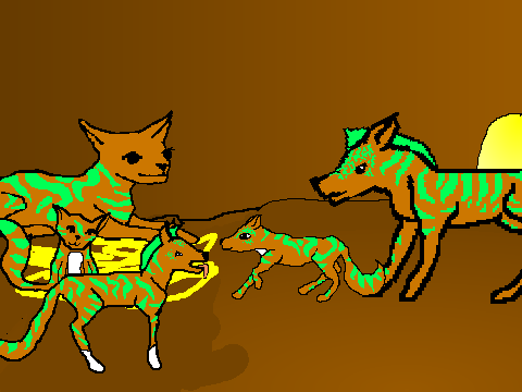 Tiger-Fox 'on ma way'