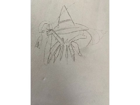hermit crab wizard