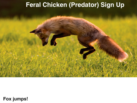Feral Chicken RP (Predator) Sign Up Sheet 
