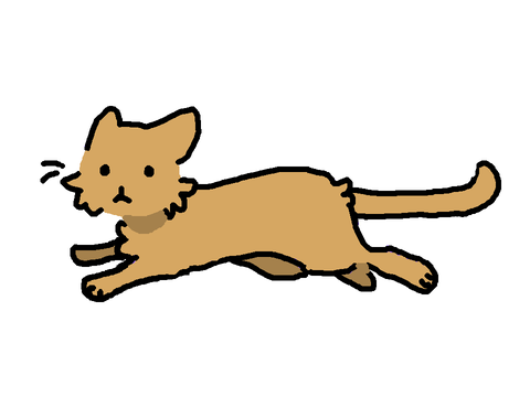 ☆*: .｡. Cat run cycle .｡.:*☆