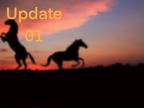 Willow Creek Equestrian | Update 01