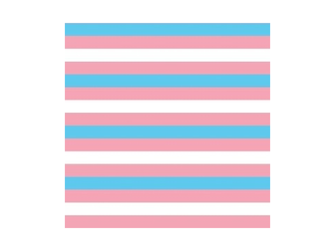 For my closeted trans buddys