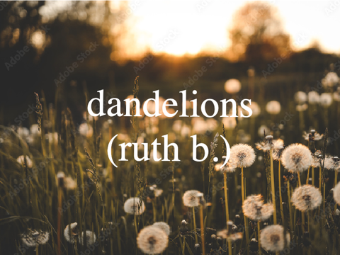 Dandelions (Ruth B.)