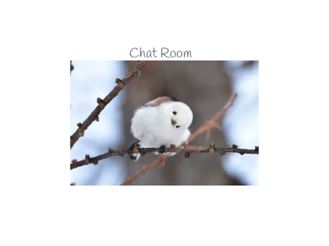 Chat Here!