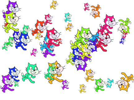 crazy cats