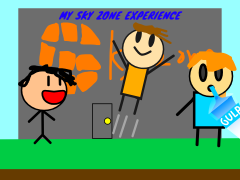 My Sky Zone Experience
