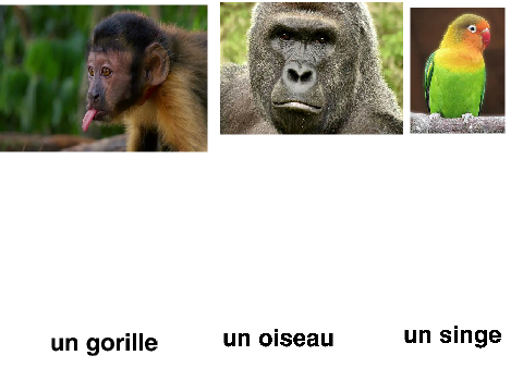 french project