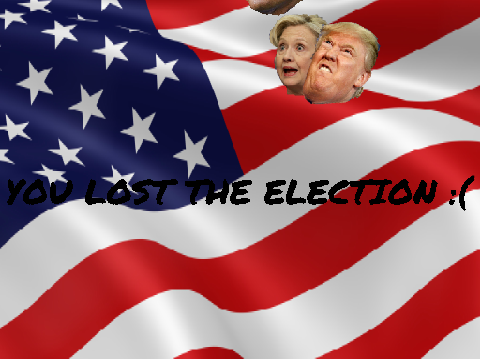 Politics in 2016