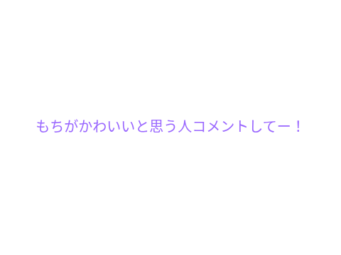もちがかわいいと思う人集合〜！
