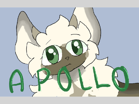  ₊˚⊹ ☼ apollo art . . . tfcrp