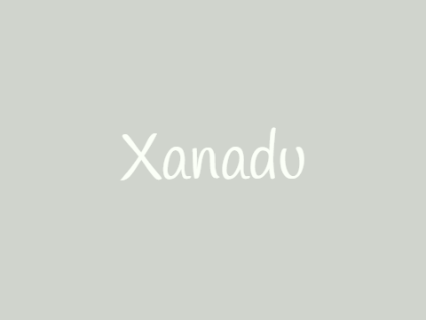 ⚡︎⊹☁︎Xanadu