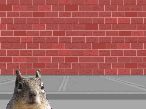 Dumb Squirrel Explodes
