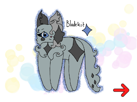 _- THE SOLDIER -_ Bladekit application!