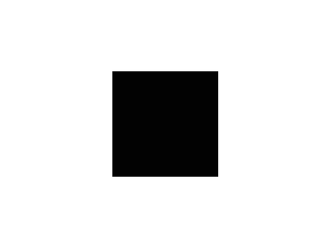 pfp for void