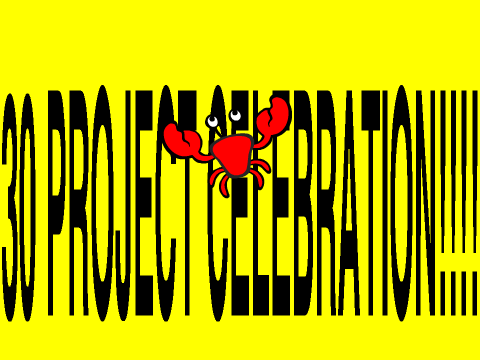 30 Project Celebration!