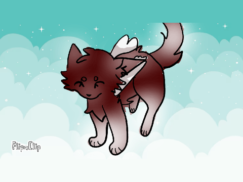 Leaf’paw-For squirrelflight12345