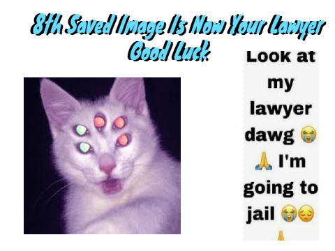 this is my lawyer