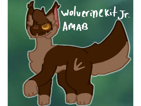 Boompaw future litter interest check