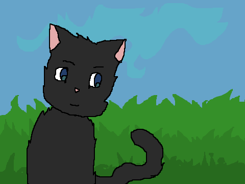 Love The Way Crowfeather Lies AMV