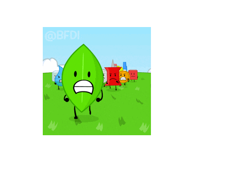 bfdi head
