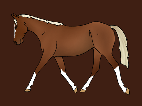 Custom for @EquineKiwi