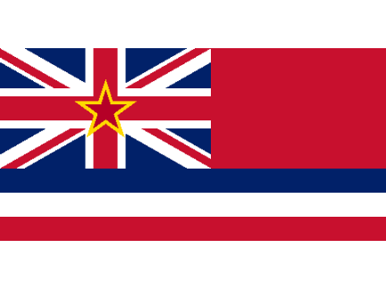Communist US Flags 2/5