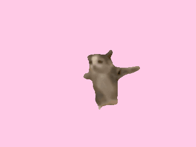 Happy Cat Song