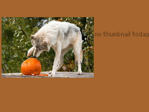 happy halloween (lestappoween…)