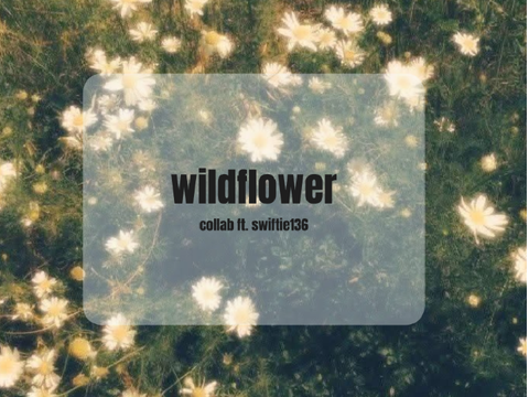 wildflower ☆ cover ft. swiftie136