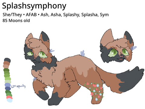 Splashsymphony Elder ref