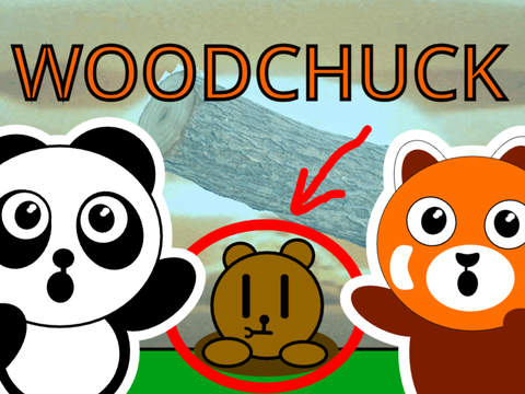 Woodchuck