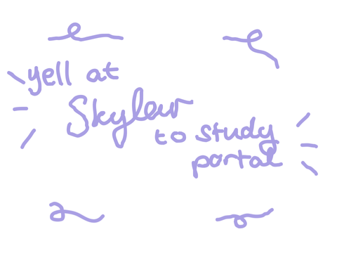 yell at skylar to study portal