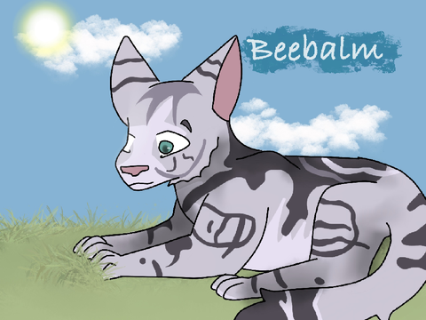 AT with El!