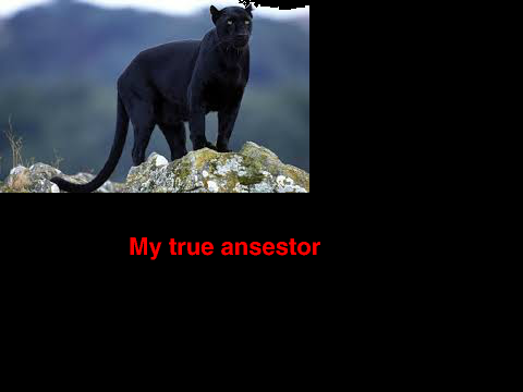 my ansestor