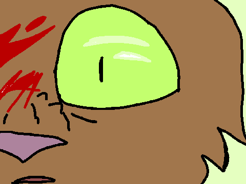test animations