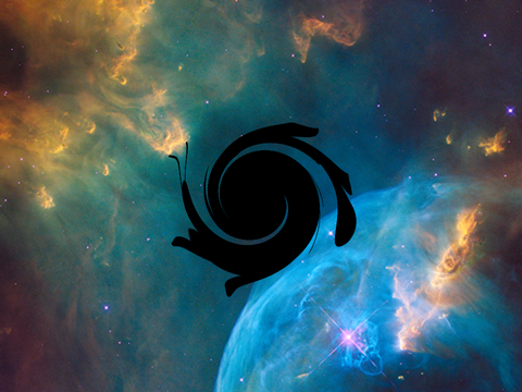 Black hole spinner