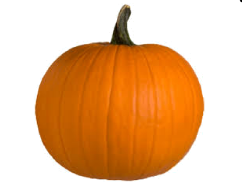 Pumpkin Carving (sort of)