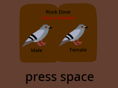 Birdwatching remix