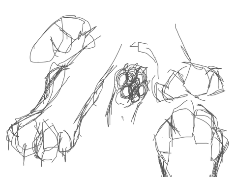Feet N’ uhm Other Stuff