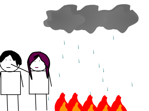 Set fire to the rain lyrics taken literally