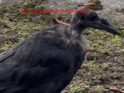BAHAHAHAHHAHAHAHAHAHHFHVUIVGUIVUI