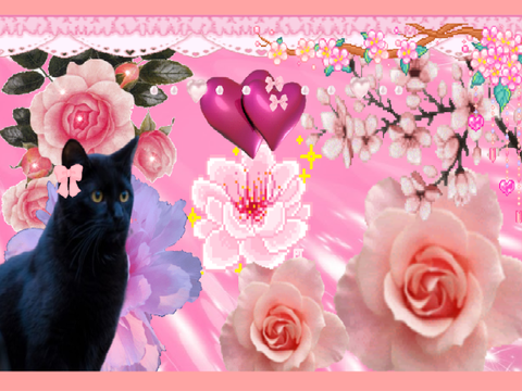 Pink Mood board