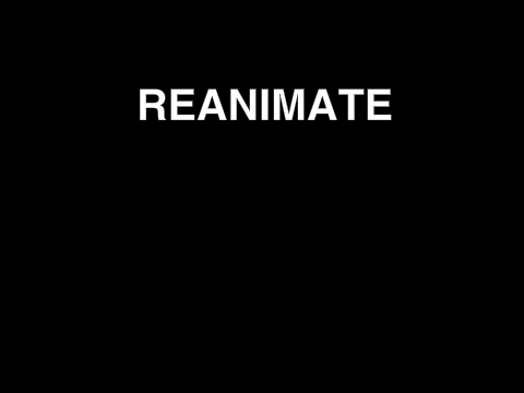 Reanimate Visualizer (We're Back!!)