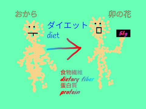 おからについて