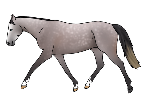 Custom for @-MoonlightPearl-
