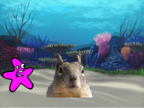 Dumb Squirrel Explodes #2