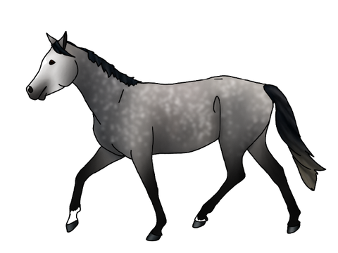 Custom for @Jumping-Rodeo 