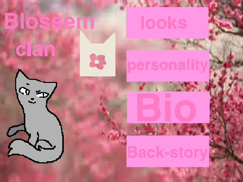 Blossomclan sign-up sheet  